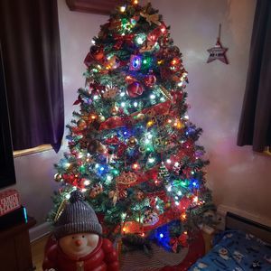 Meet your Posher, Traci